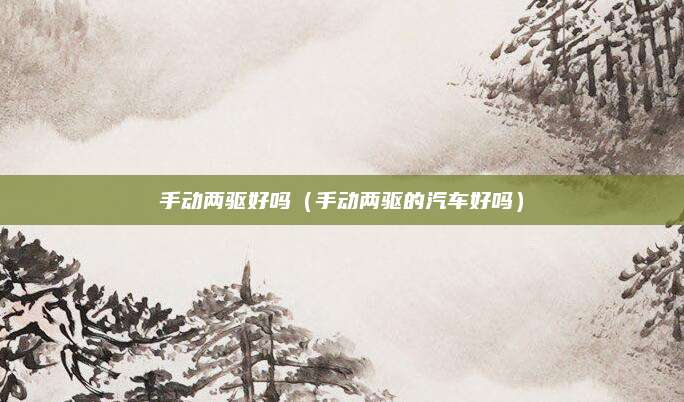手动两驱好吗(手动两驱的汽车好吗)