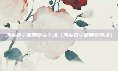 汽车开空调睡觉安全吗(汽车开空调睡觉好吗)