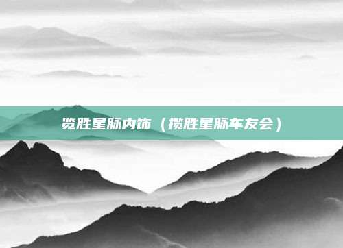 览胜星脉内饰(揽胜星脉车友会)