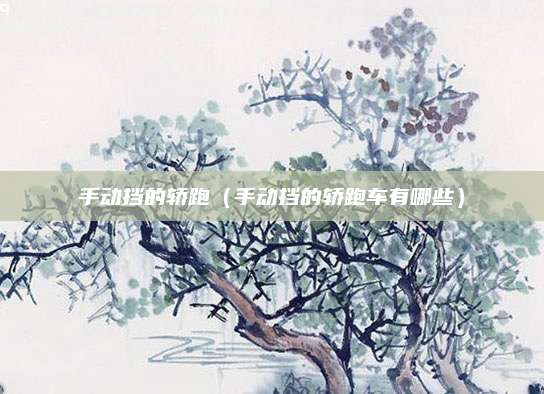 手动挡的轿跑(手动挡的轿跑车有哪些)