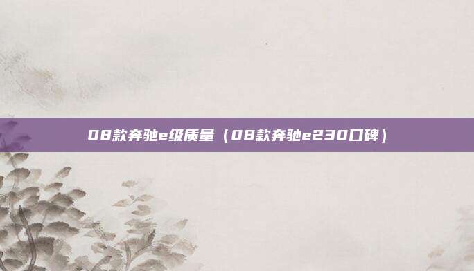 08款奔驰e级质量(08款奔驰e230口碑)