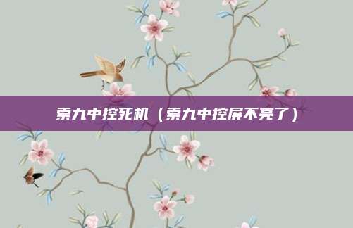 索九中控死机(索九中控屏不亮了)