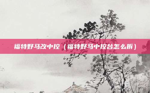 福特野马改中控(福特野马中控台怎么拆)