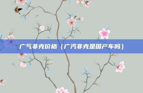 广气非克价格(广汽非克是国产车吗)
