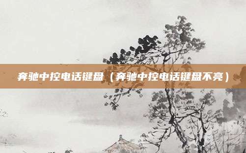 奔驰中控电话键盘(奔驰中控电话键盘不亮)