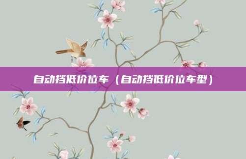 自动挡低价位车(自动挡低价位车型)