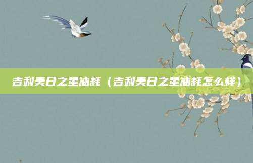 吉利美日之星油耗(吉利美日之星油耗怎么样)