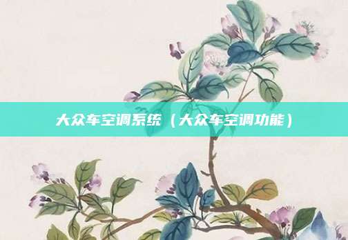 大众车空调系统(大众车空调功能)