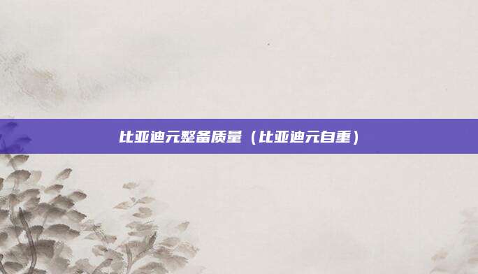 比亚迪元整备质量（比亚迪元自重）