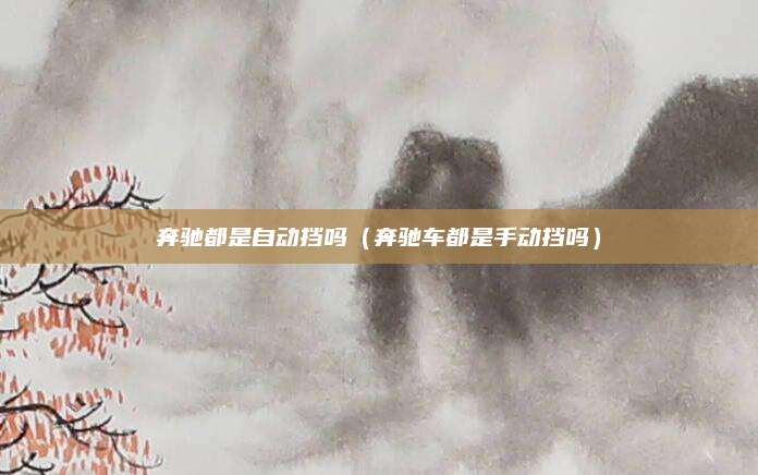 奔驰都是自动挡吗（奔驰车都是手动挡吗）