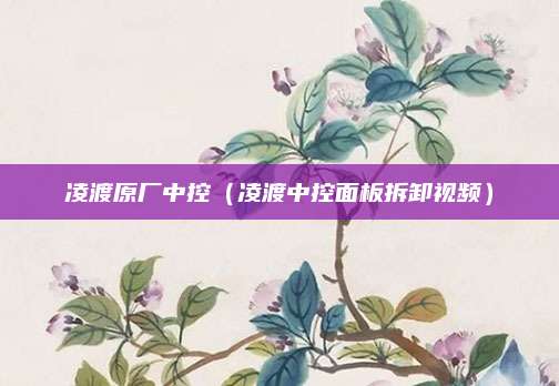 凌渡原厂中控(凌渡中控面板拆卸视频)