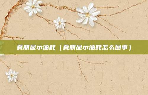 夏朗显示油耗(夏朗显示油耗怎么回事)
