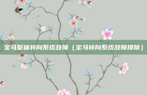 宝马整体转向系统故障(宝马转向系统故障排除)