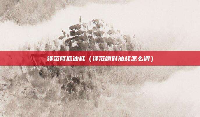 锋范降低油耗(锋范瞬时油耗怎么调)