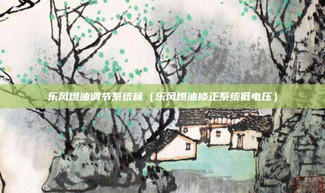 乐风燃油调节系统稀(乐风燃油修正系统低电压)