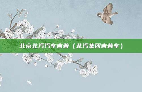 北京北汽汽车吉普(北汽集团吉普车)