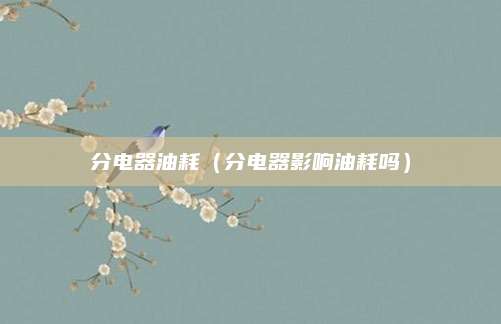分电器油耗（分电器影响油耗吗）