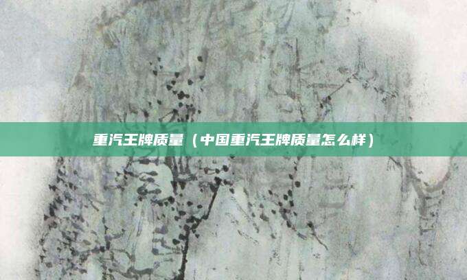 重汽王牌质量(中国重汽王牌质量怎么样)