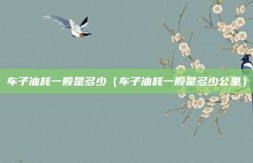 车子油耗一般是多少(车子油耗一般是多少公里)