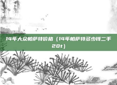 14年大众帕萨特价格（14年帕萨特多少钱二手20t）
