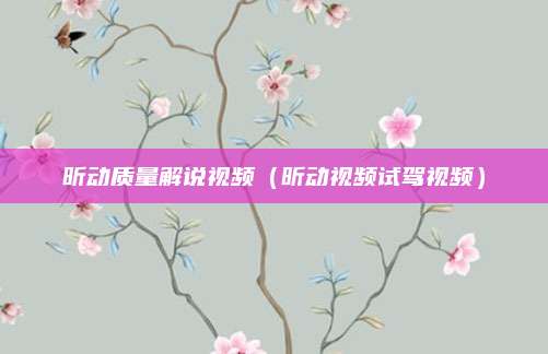 昕动质量解说视频(昕动视频试驾视频)