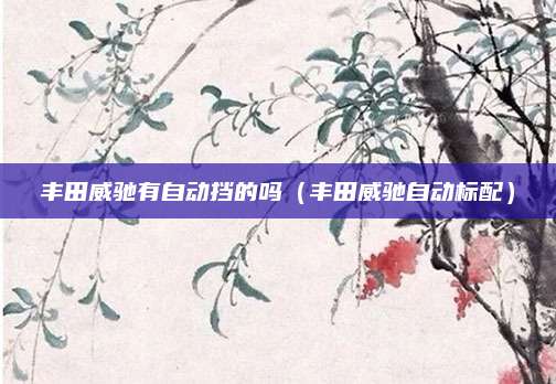 丰田威驰有自动挡的吗(丰田威驰自动标配)