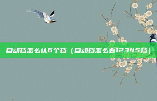 自动挡怎么认6个挡（自动挡怎么看12345档）