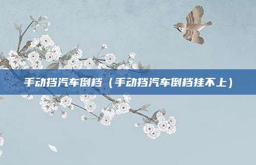 手动挡汽车倒档(手动挡汽车倒档挂不上)