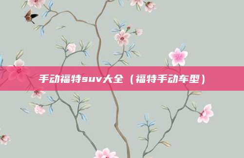 手动福特suv大全(福特手动车型)