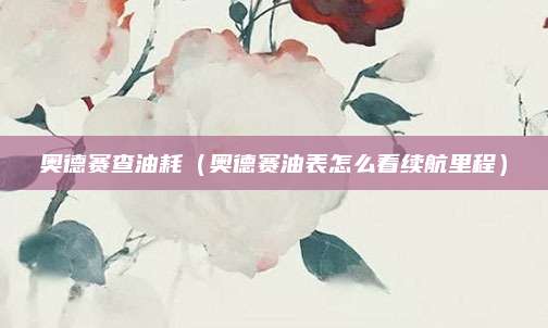 奥德赛查油耗(奥德赛油表怎么看续航里程)