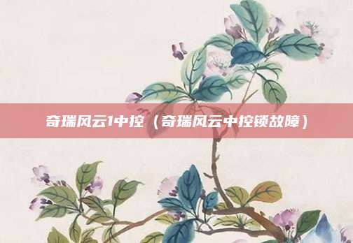 奇瑞风云1中控(奇瑞风云中控锁故障)