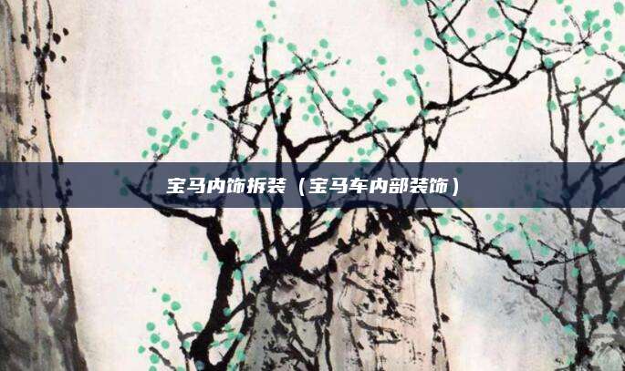 宝马内饰拆装(宝马车内部装饰)