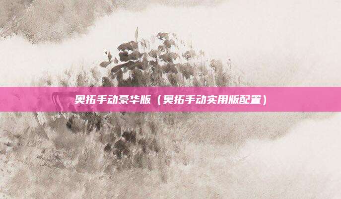 奥拓手动豪华版(奥拓手动实用版配置)