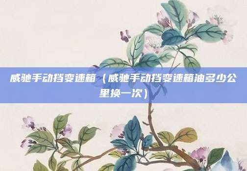 威驰手动挡变速箱(威驰手动挡变速箱油多少公里换一次)