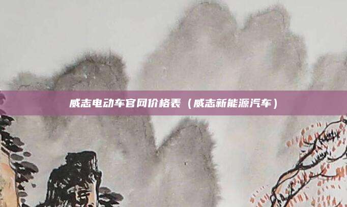 威志电动车官网价格表(威志新能源汽车)