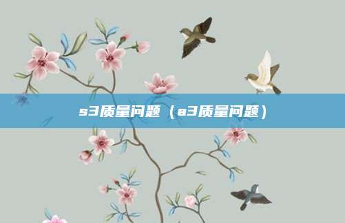s3质量问题(a3质量问题)