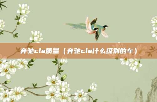 奔驰cla质量(奔驰cla什么级别的车)