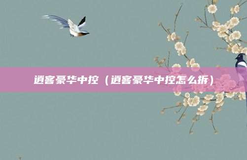 逍客豪华中控(逍客豪华中控怎么拆)