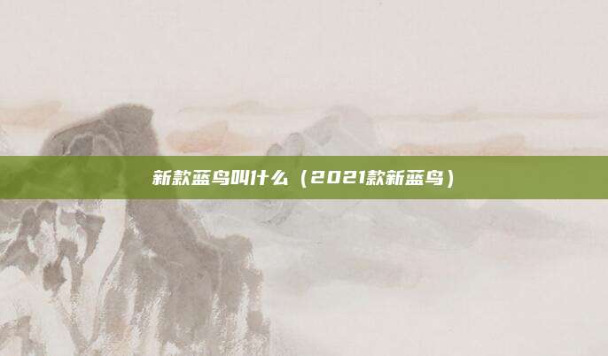 新款蓝鸟叫什么(2021款新蓝鸟)