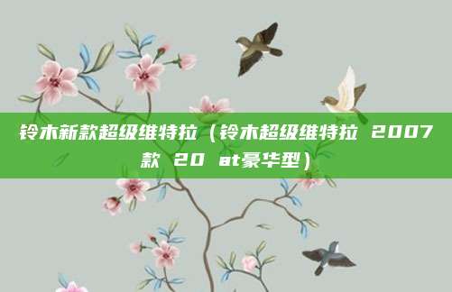 铃木新款超级维特拉(铃木超级维特拉 2007款 20 at豪华型)
