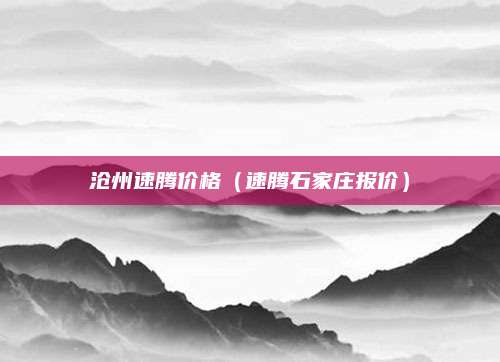 沧州速腾价格(速腾石家庄报价)