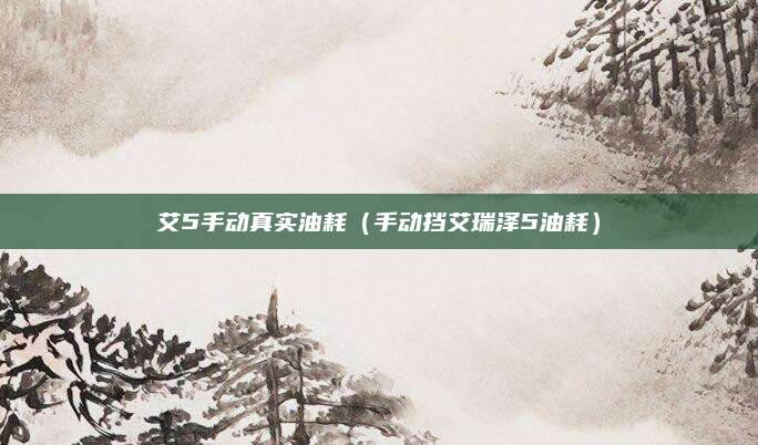 艾5手动真实油耗(手动挡艾瑞泽5油耗)