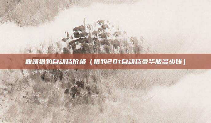 曲靖猎豹自动挡价格(猎豹20t自动挡豪华版多少钱)