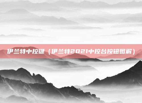 伊兰特中控键(伊兰特2021中控台按钮图解)