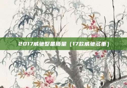2017威驰整备质量(17款威驰多重)