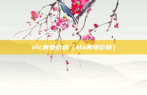 slc奔驰价格(sla奔驰价格)