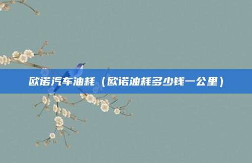 欧诺汽车油耗（欧诺油耗多少钱一公里）
