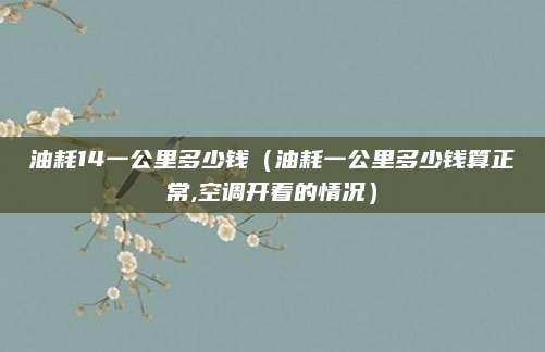 油耗14一公里多少钱（油耗一公里多少钱算正常,空调开着的情况）