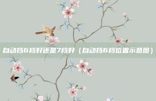 自动挡6档好还是7档好(自动挡6档位置示意图)