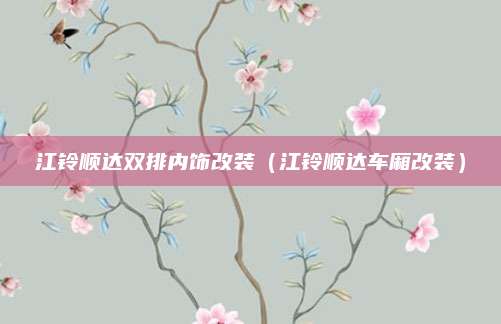 江铃顺达双排内饰改装(江铃顺达车厢改装)